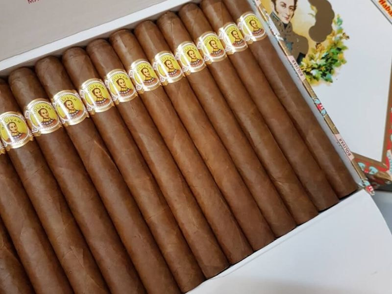 Hình thức lịch lãm, sang trọng, mềm mịn